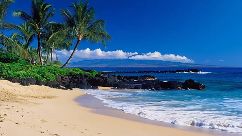 White Sand Beach with Palm Trees and Rocky Shoreline