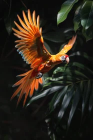 Tropical Parrot in Motion