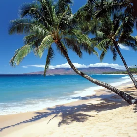 Serene Island Beach with Palms and Mountains