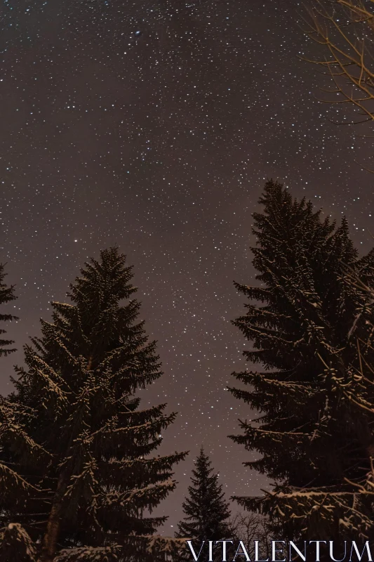 AI ART Night Sky and Tree Silhouettes Under the Stars