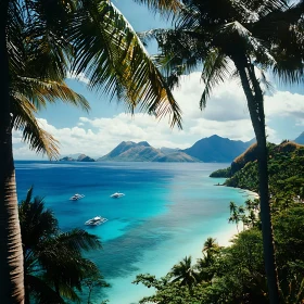 Tropical Paradise with Palms and Mountains