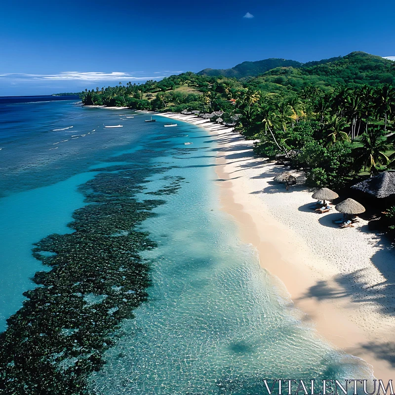 Aerial View of Tropical Beach and Ocean AI Image