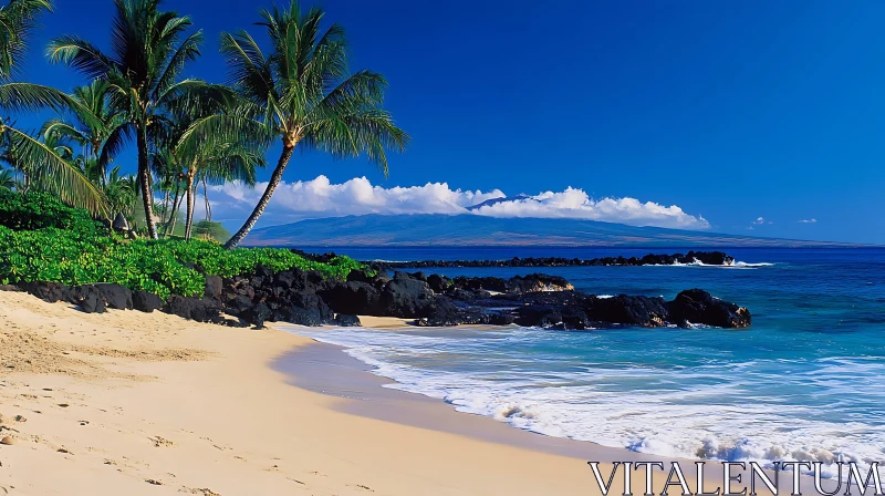 White Sand Beach with Palm Trees and Rocky Shoreline AI Image