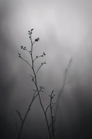 Minimalist Silhouette of a Plant