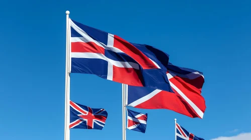 Vibrant Flags in the Wind