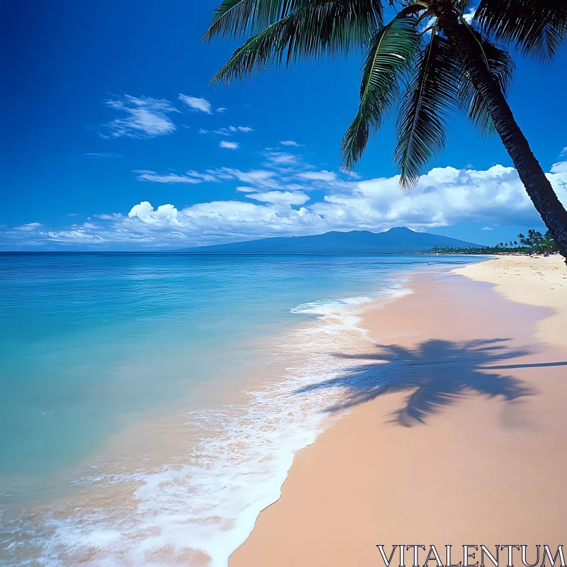 Peaceful Beach with Clear Blue Ocean AI Image