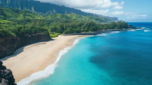 Serene Coastal Beach Scene with Clear Blue Ocean