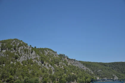 Forest-Covered Mountains with Bridge