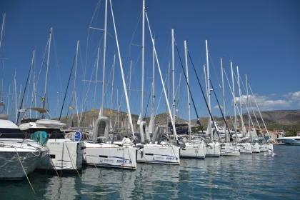 Docked Sailboats in the Marina