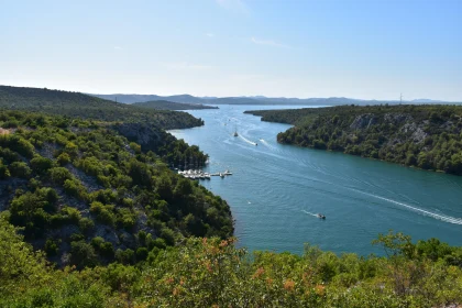 River and Forest Panorama