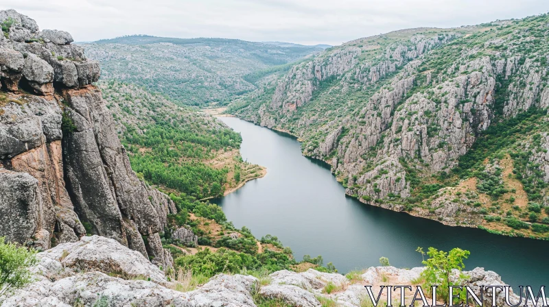 Majestic River Winding Through Rocky Canyon AI Image