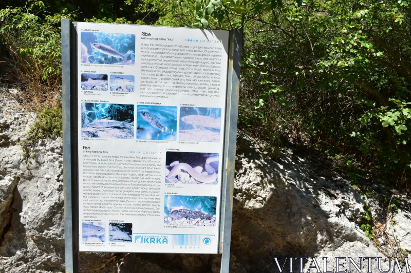 Fish of Krka Park Informational Board Free Stock Photo