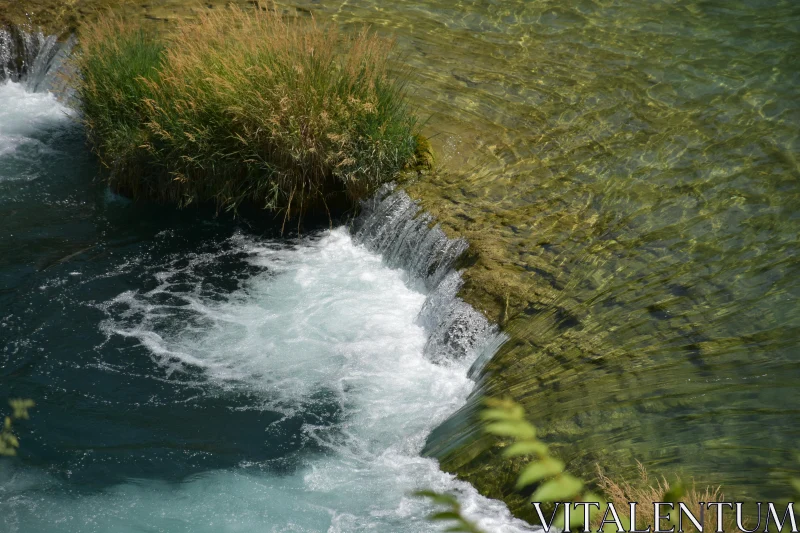 PHOTO Tranquil Stream and Vegetation