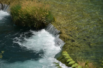 Tranquil Stream and Vegetation