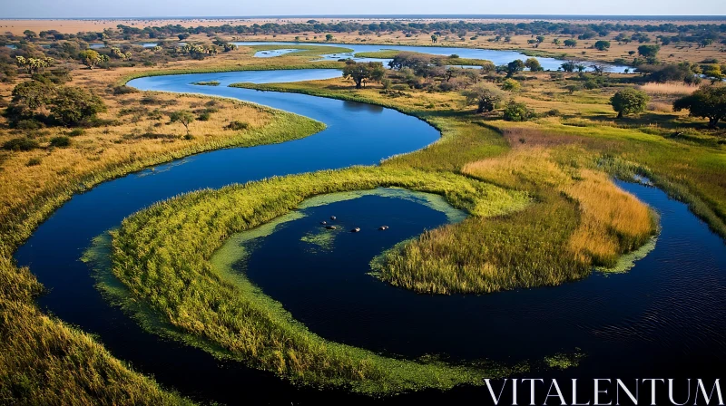 Serene Aerial River Landscape with Verdant Vegetation AI Image