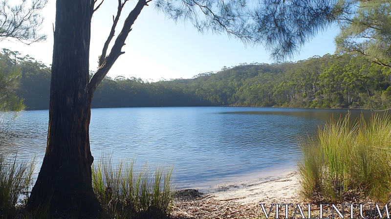 Tranquil Nature Scene with Lake and Trees Tranquil Nature Scene with Lake and Trees