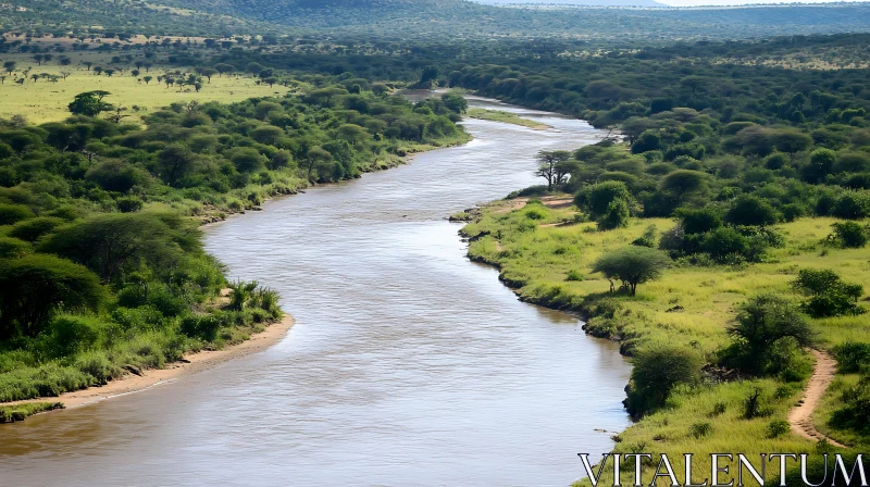 Peaceful River Scenery Among Dense Foliage AI Image