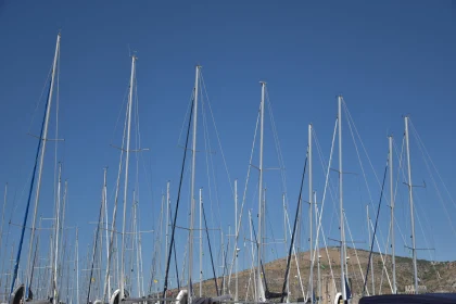 Sailboat Masts in a Scenic Harbor