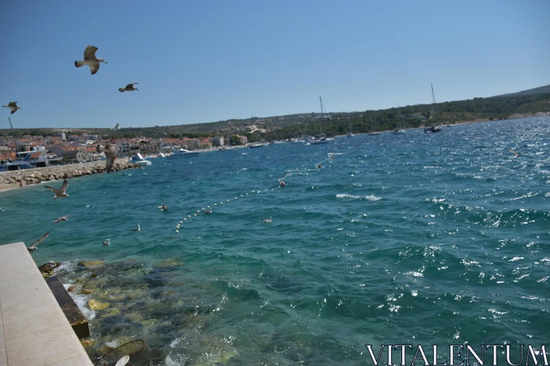 PHOTO Sunny Day at a Croatian Seaside Harbor