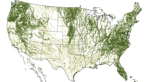 Map of Forests in the USA