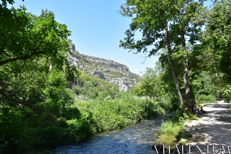 PHOTO Tranquil Forest and River Scene