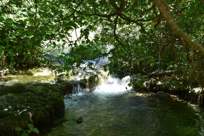 Serene Forest Waterfall