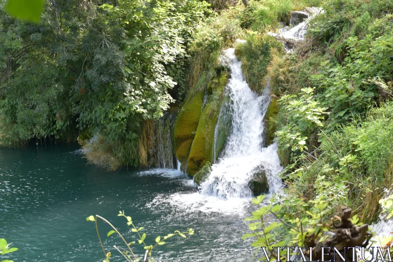 Tranquil Forest Waterfall Free Stock Photo