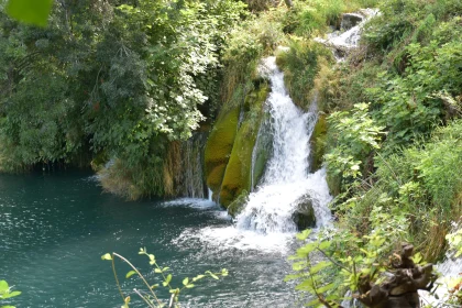 Tranquil Forest Waterfall