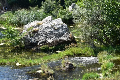 Peaceful Rock and Stream in Lush Nature