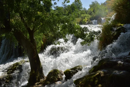 Peaceful Cascading Waters