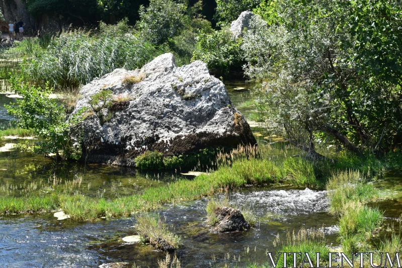 Peaceful Rock and Stream in Lush Nature Free Stock Photo