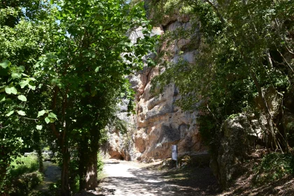 Forest Trail with Cliffside View