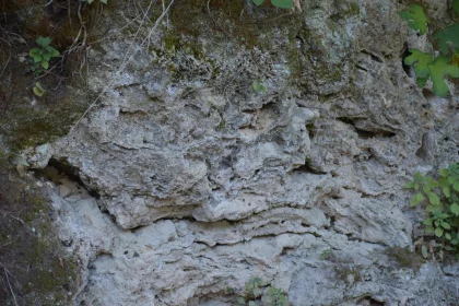 Detailed Rock Surface Patterns