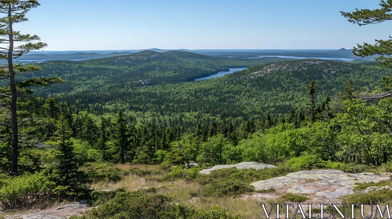 Lush Green Mountain Forest and Scenic Lake View AI Image