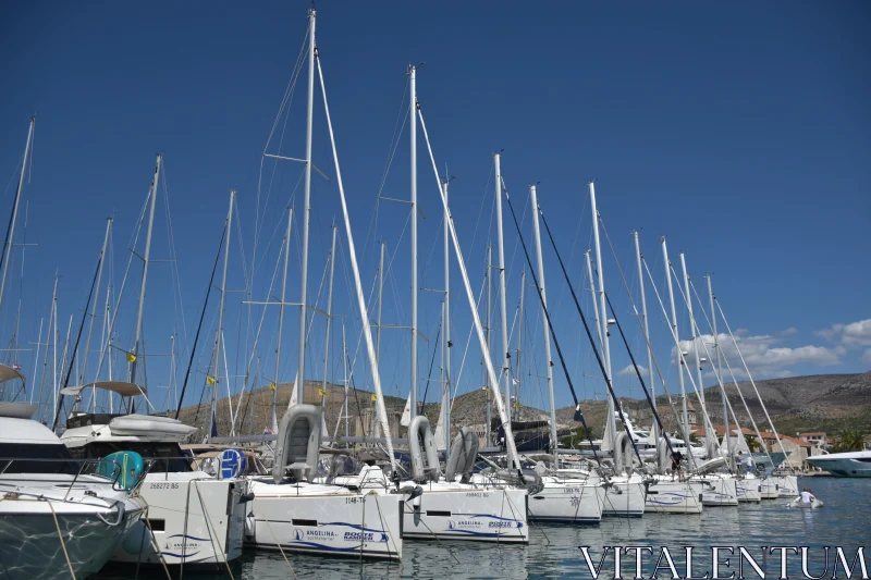 PHOTO Croatia's Scenic Marina with Sailboats