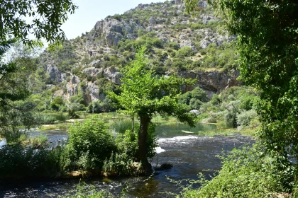 Picturesque Green Valley and Flowing River