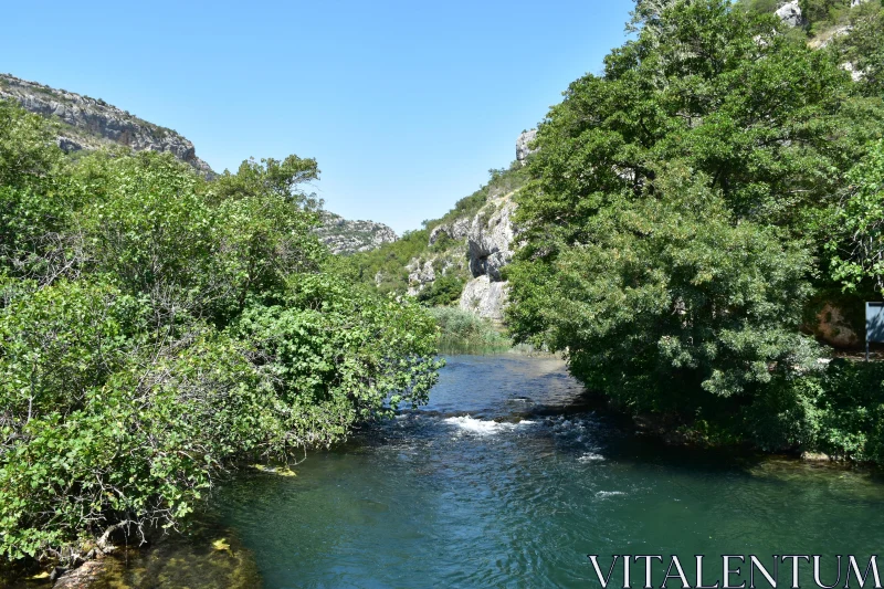 Lush River View Free Stock Photo