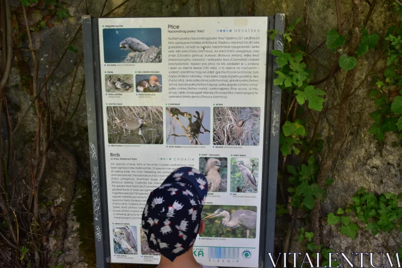 Bird Educational Sign in Croatia's Krka Park Free Stock Photo