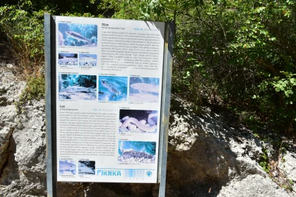 Fish of Krka Park Informational Board