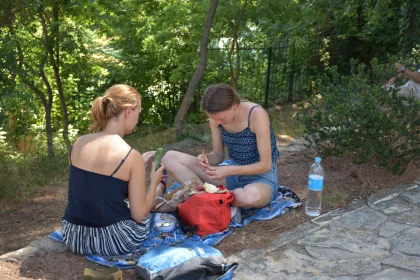 Picnic in Nature with Friends