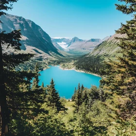 Tranquil Mountain Lake with Clear Waters and Pine Forests