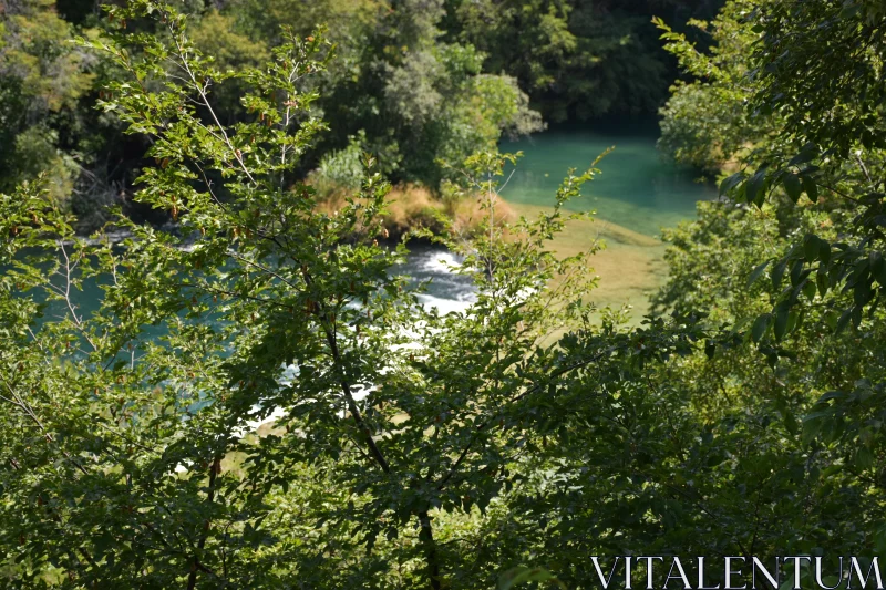 Tranquil River Through Verdant Foliage Free Stock Photo