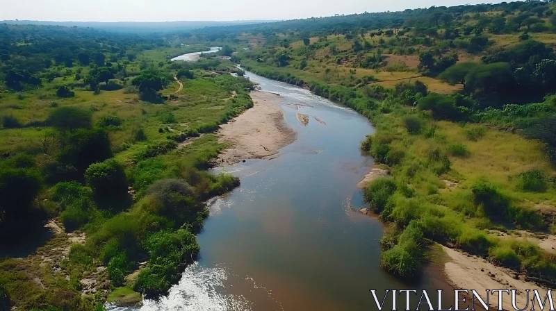 Tranquil River Scene Surrounded by Nature AI Image