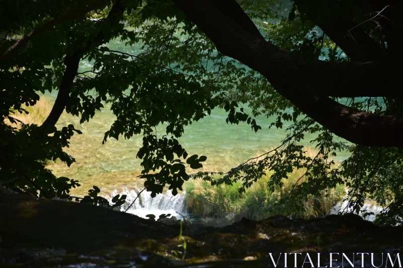 PHOTO Tranquil Foliage Framing a Sunlit River