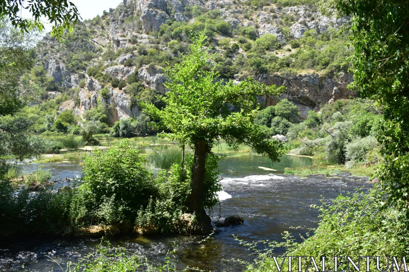 Scenic Natural River and Cliff View Free Stock Photo