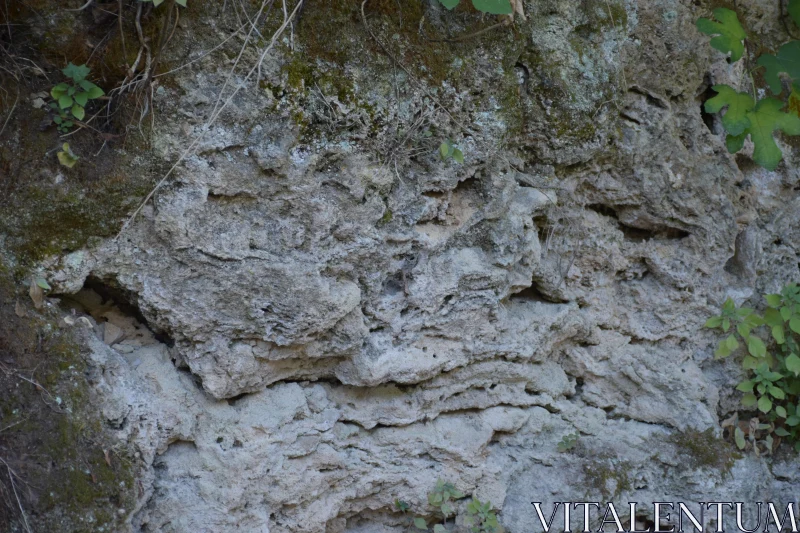 Detailed Rock Surface Patterns Free Stock Photo