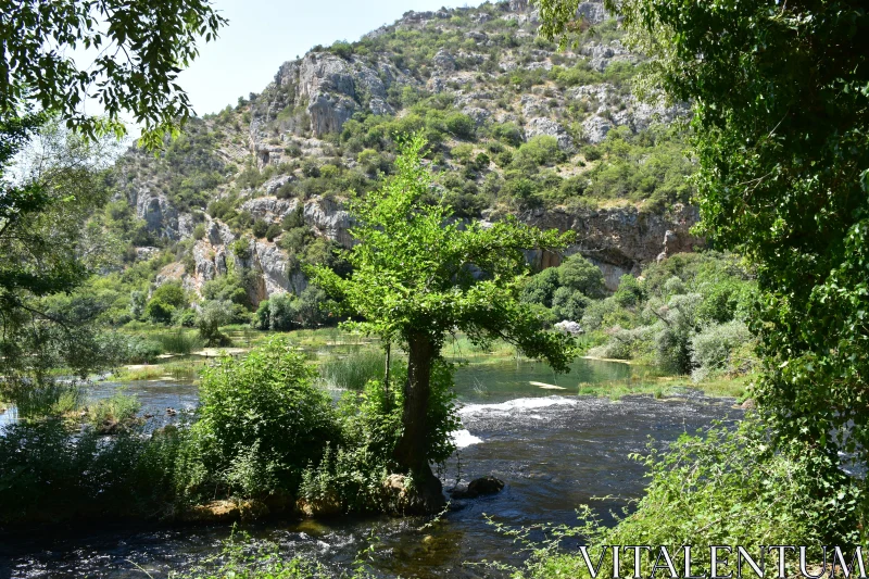 Picturesque Green Valley and Flowing River Free Stock Photo