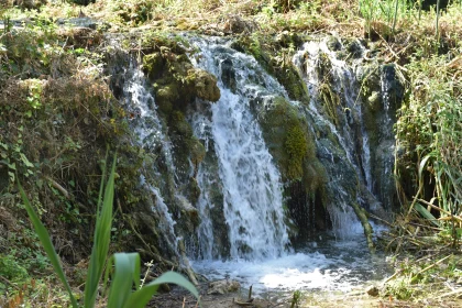 Tranquil Cascading Waters