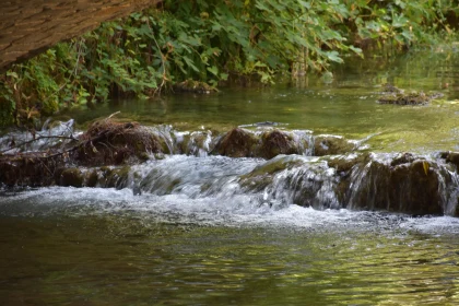 Serene Waterfall in Greenery