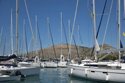 Sailboats Docked at a Marina